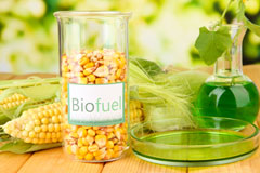Catterton biofuel availability